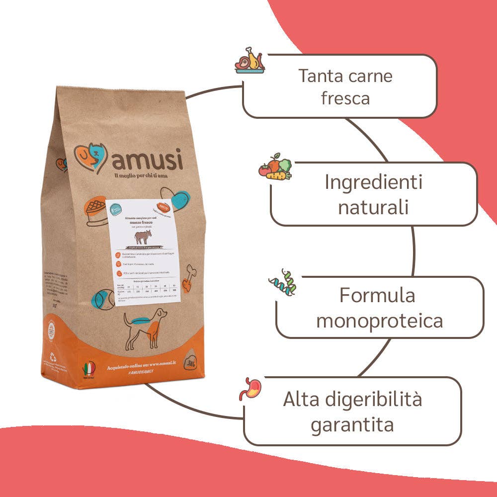 Pettech S.r.l. - Wholesale Pet Food - Dog - Kibble with Fresh Beef, Potatoes, and Peas for Adults1