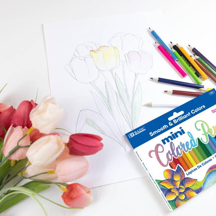 BAZIC Products - Wholesale Colored Pencil - 24 Mini Colored Pencils5