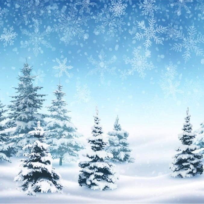 Frosted Eucalyptus Fragrance Oil for wholesale by Fizzy Whiz