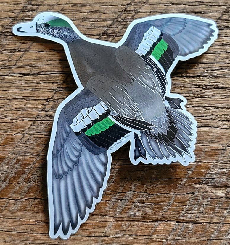 creeknuts.com - Wholesale Sticker - Flying Widgeon Duck Sticker 0