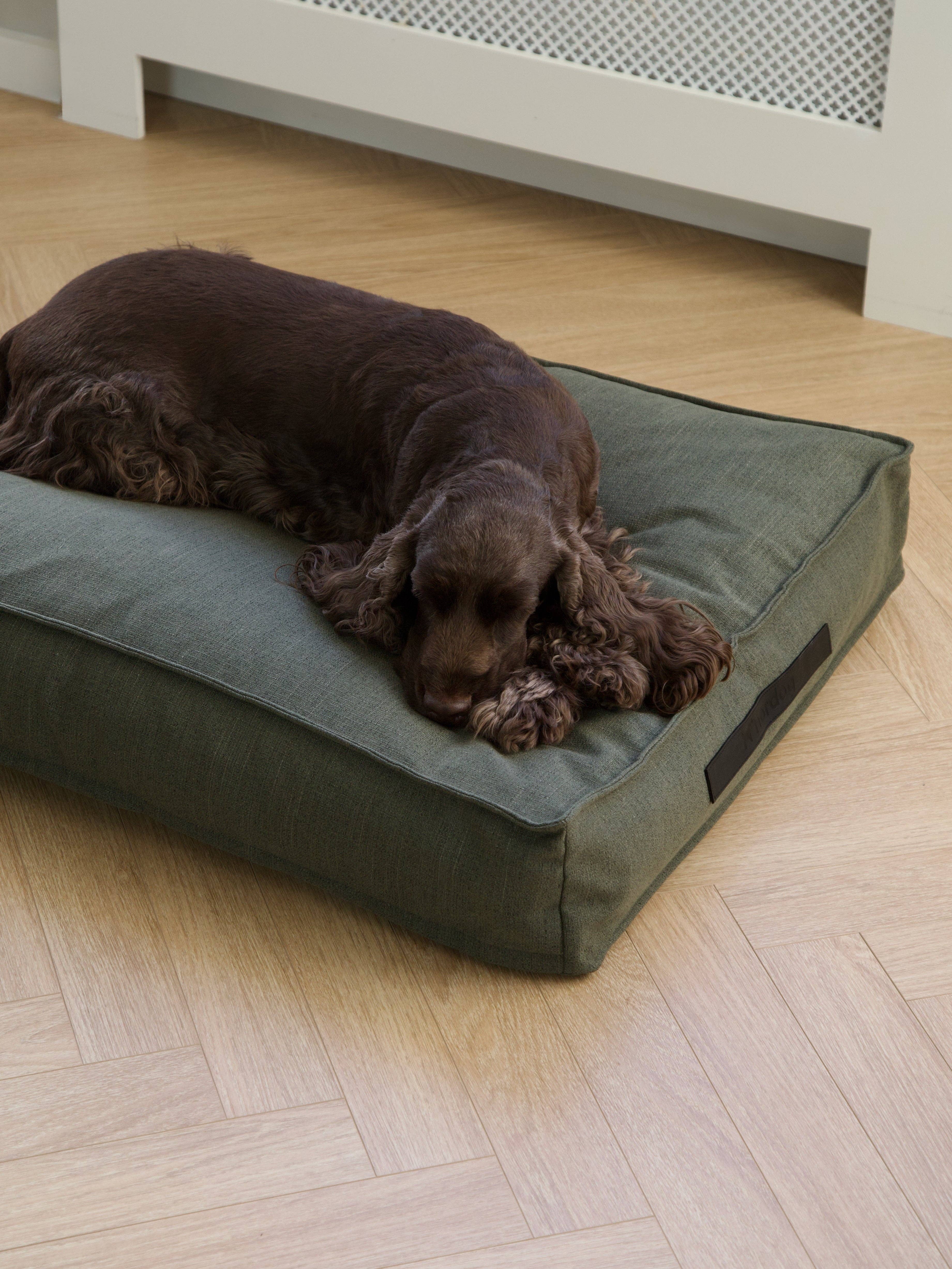 Forrest Coussin pour chien Hygge Forrest en vente sur Faire4