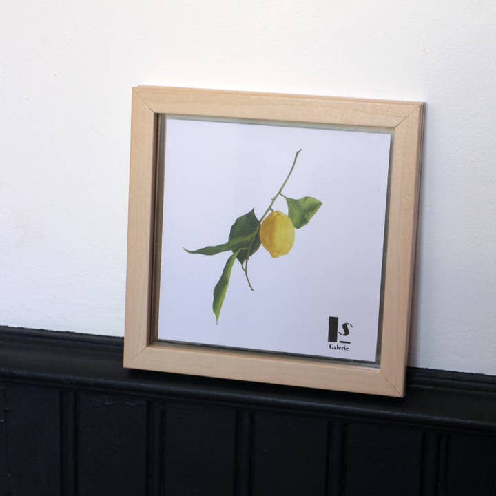 Kapris - Wholesale Temporary Tattoo - Kids - Tatouages éphémères - FRESH SUMMER21