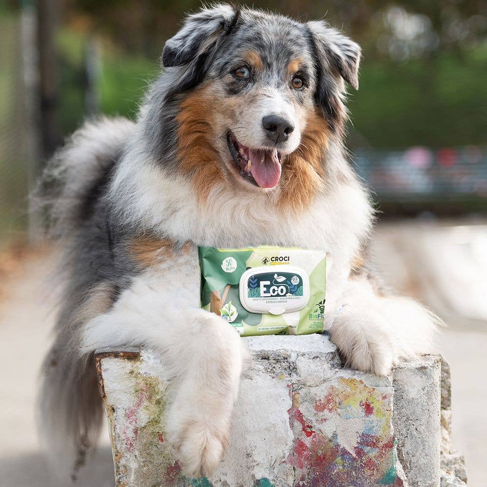 Croci - Wholesale Pet Cleaning Supplies - Wet wipes for dogs and cats - Eco PetWipes - Crosses4