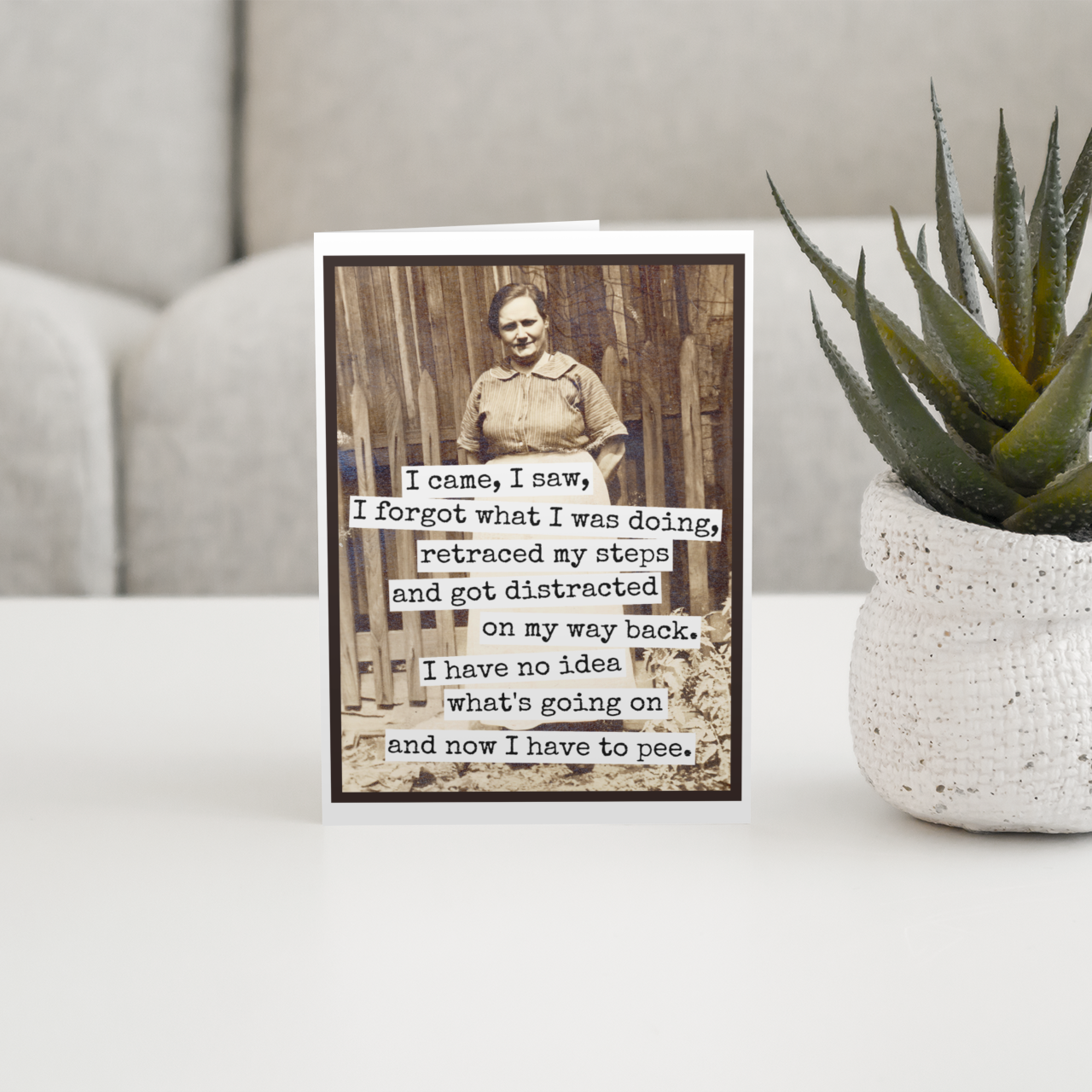 Raven's Rest Studio - Wholesale Birthday Card - Funny Greeting Card. I Came, I Saw, I Forgot What I Was Doin2