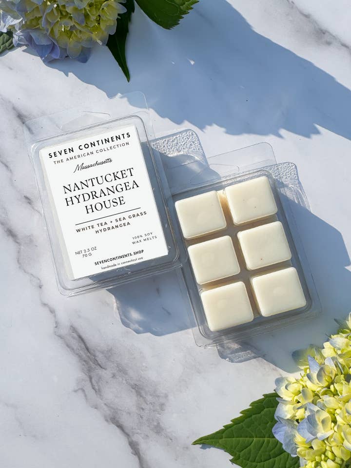 Nantucket Hydrangea House – Soy Wax Melt for wholesale by Seven Continents