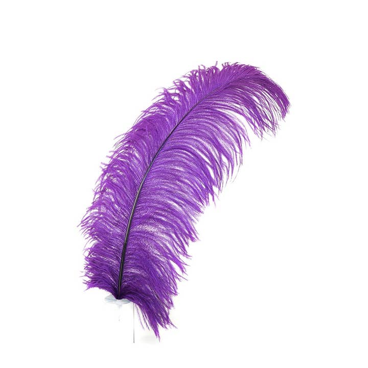 Grandes plumes d'autruche - Plumes Prime Femina de 20 à 25 pouces - Violet pour la vente par Zucker Feather Products