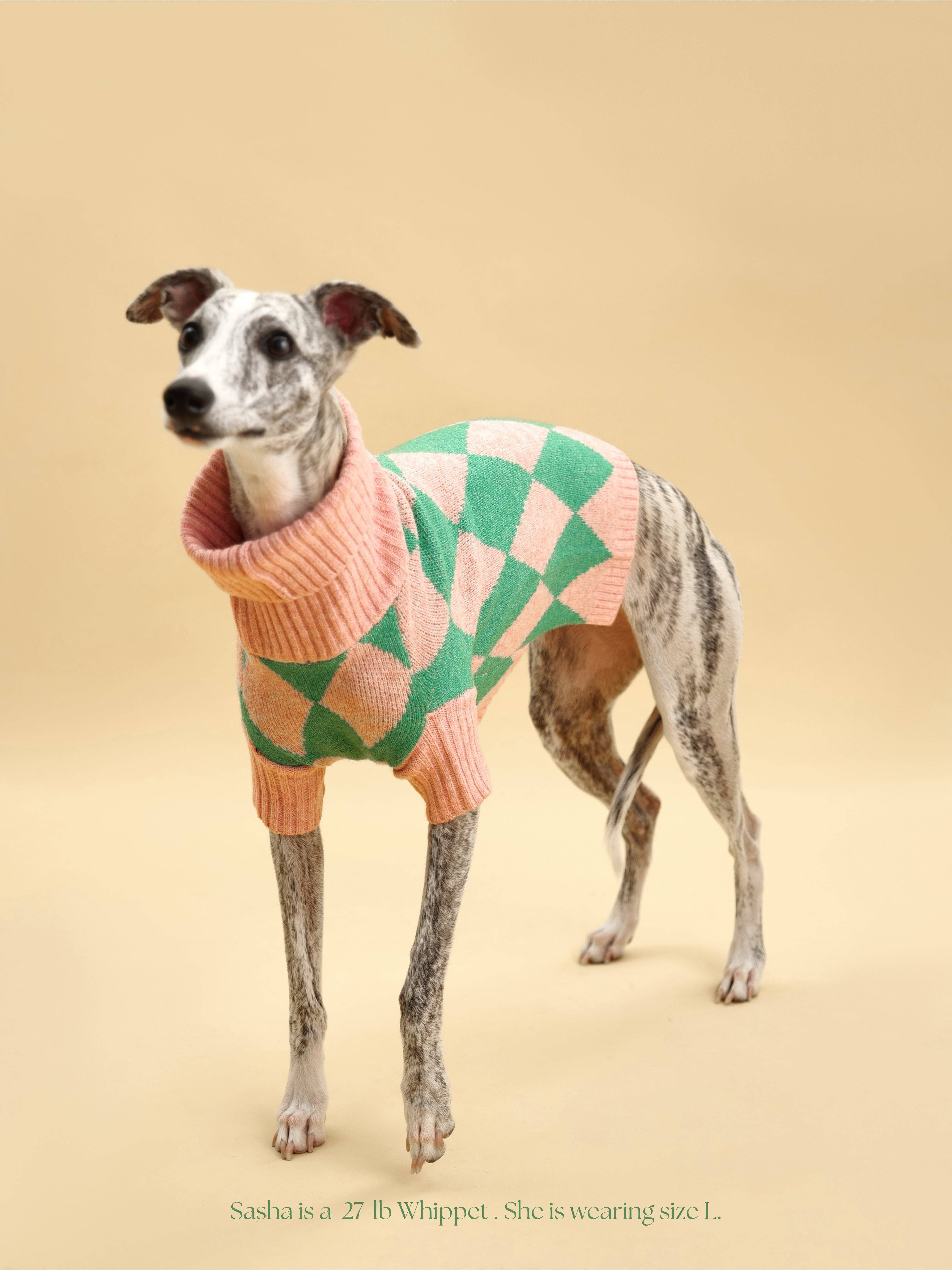 BarkBarkBaby - Wholesale Pet Sweater - Dog - Sunday Brunch in Brooklyn Sweater1