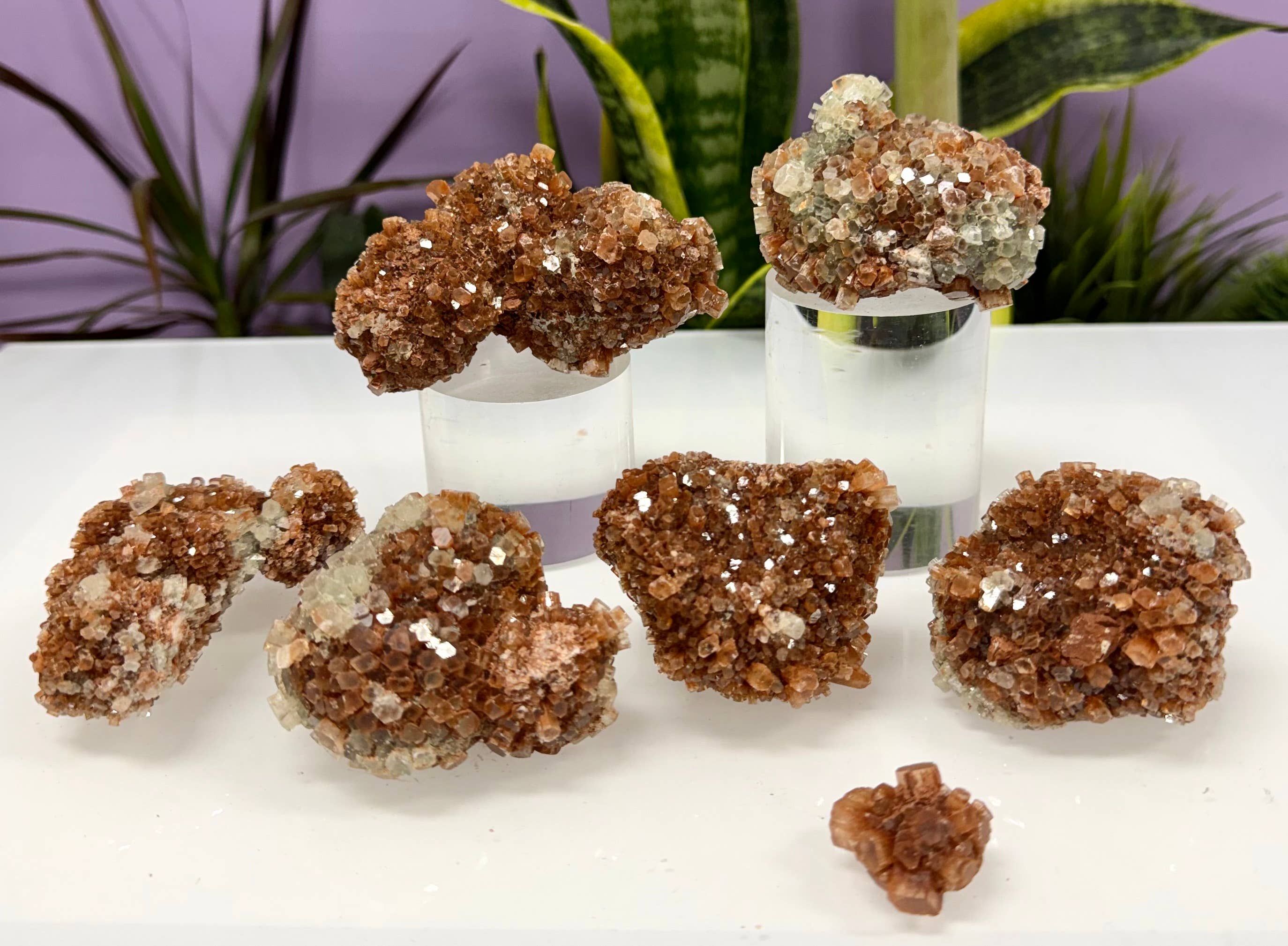KayleeNYC - Wholesale Spiritual Stone/Crystal - 2 lbs Natural Aragonite Cluster Raw Crystal2