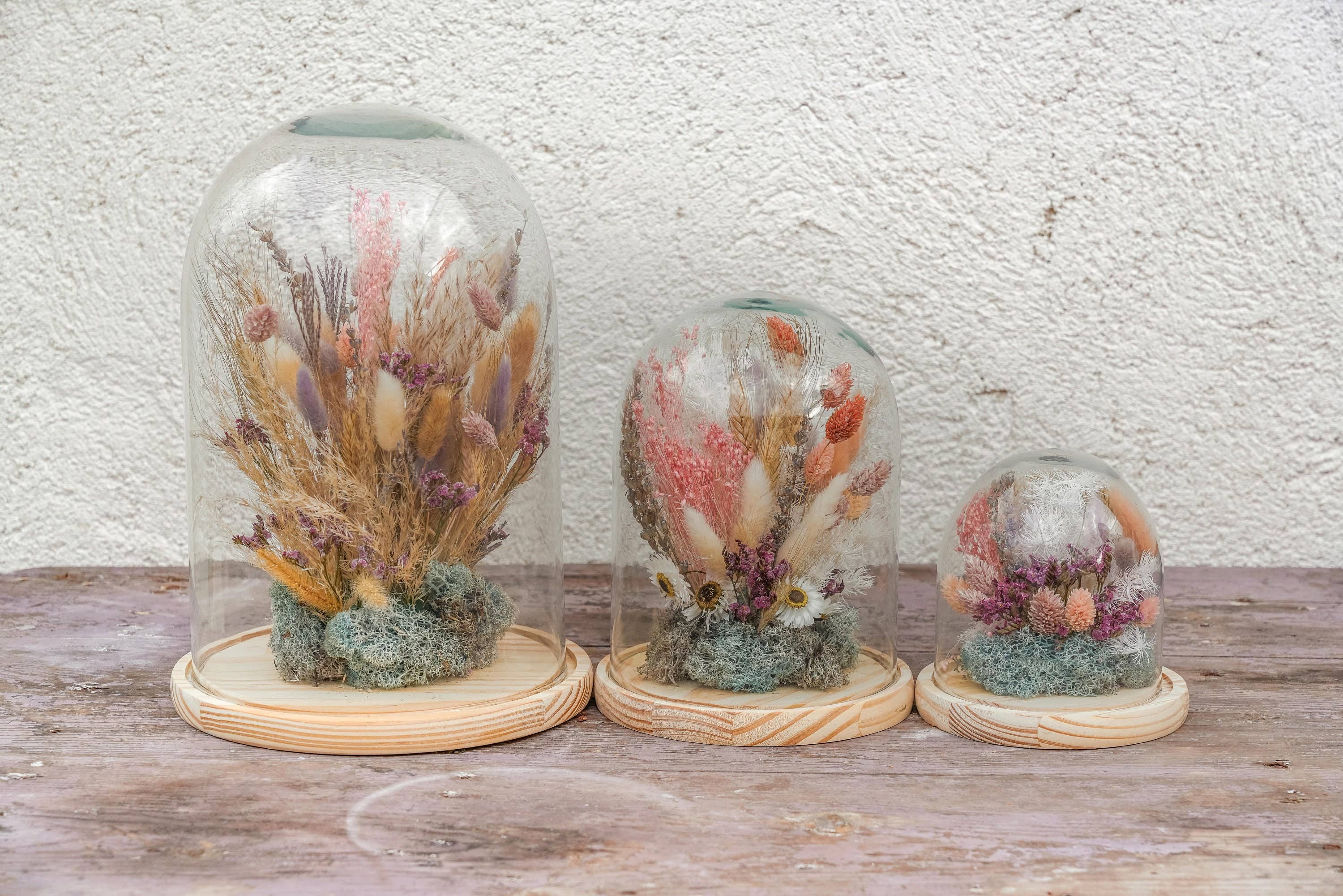 Nema Concept – wholesale Dried/pressed flowers – Dried Flowers Glass Dome | Glass Bell | Dried Flowers | Home Decor | Gift Ideas | Dried Flower Arrangements|Cloche| Rustic | Boho Decor..9