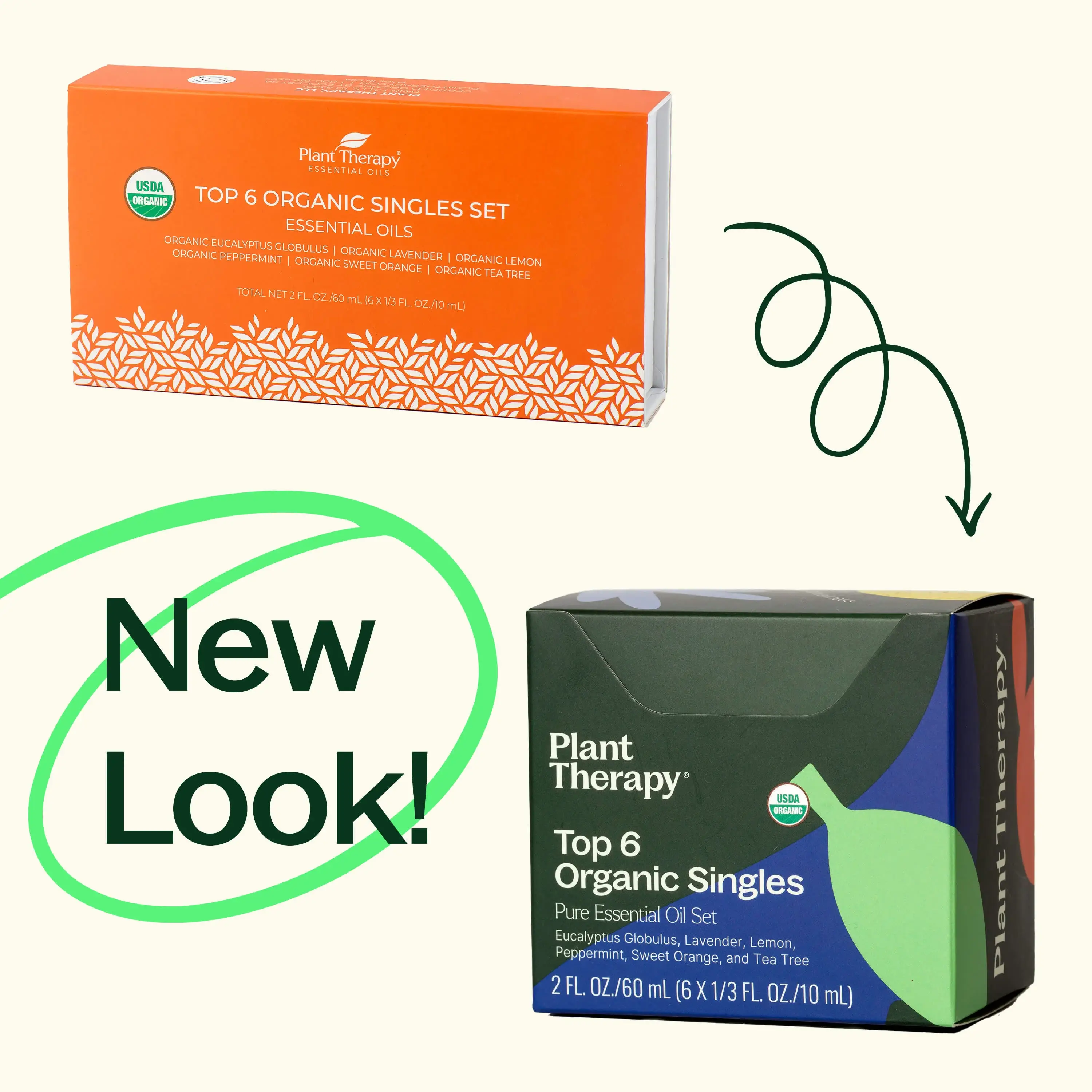 Plant Therapy - Venta al por mayor Aceite esencial - Los 6 mejores conjuntos de aceites esenciales orgánicos para solteros3