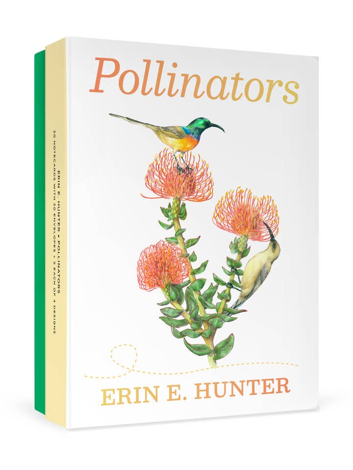 Erin E. Hunter: Pollinators Boxed Notecard Assortment for wholesale by Pomegranate