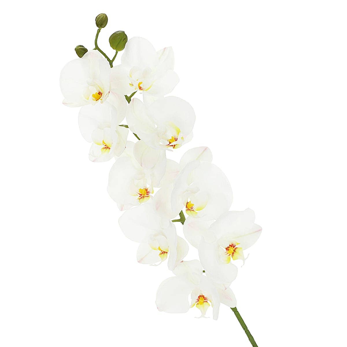 RC Home Decor - Vente Fleurs artificielles - Tige de fleur artificielle orchidée blanche de 29,5"1