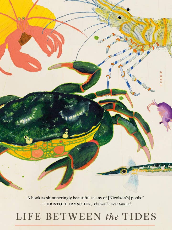 Life Between The Tides for wholesale by Macmillan Publishers