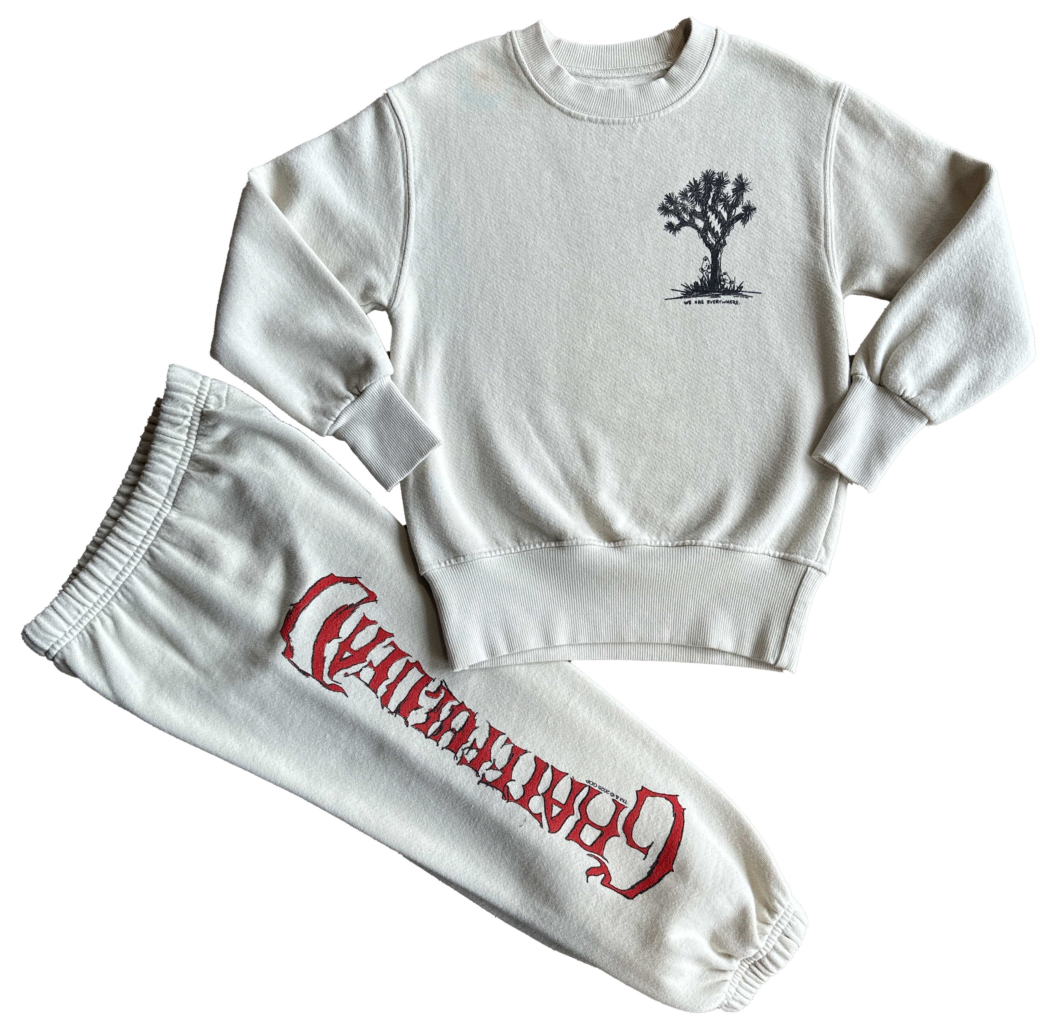 Rowdy Sprout - Wholesale Graphic Sweatshirt - Women's - Grateful Dead Joshua Tree Crewneck3