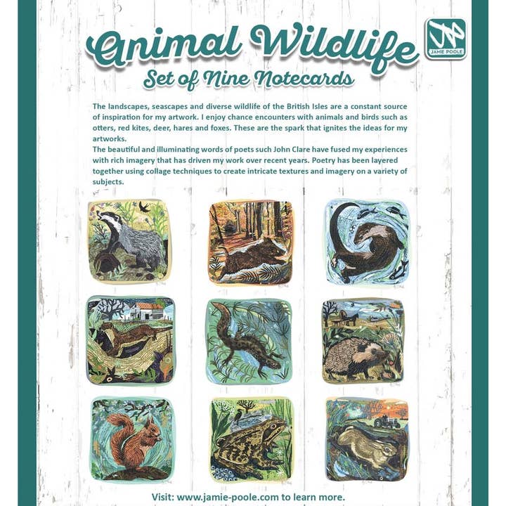 Notekort Sæt Egernet Sæt 1 – Brune Kuverter for engroshandel hos Jamie Poole