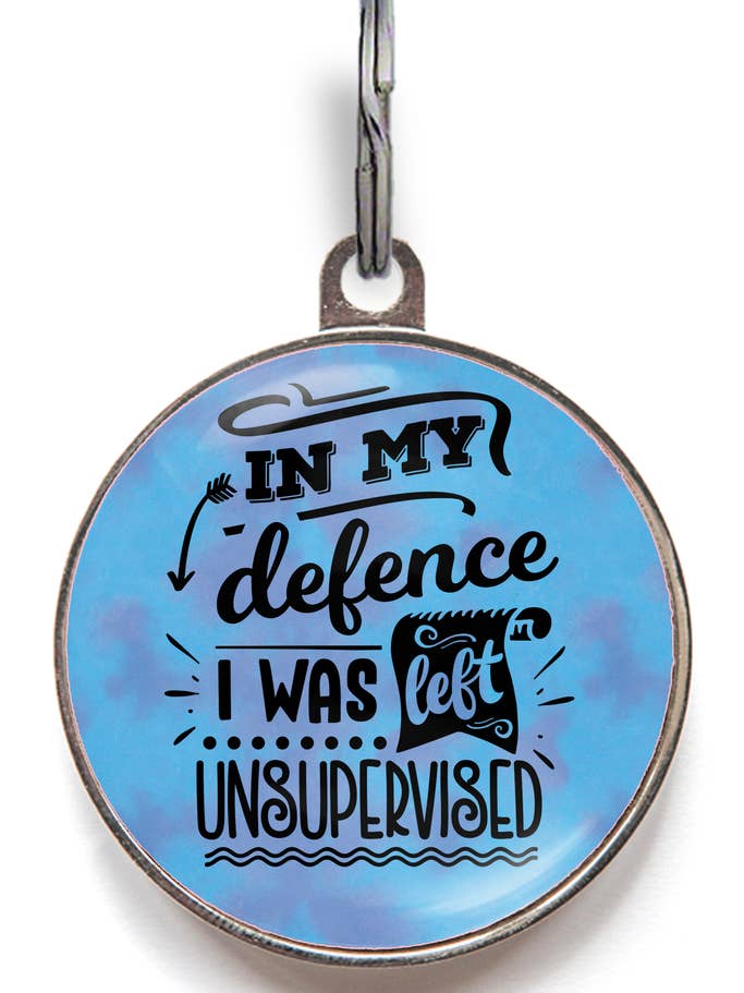 Unsupervised – Funny Dog Tag with QR for wholesale by WagATudeTags