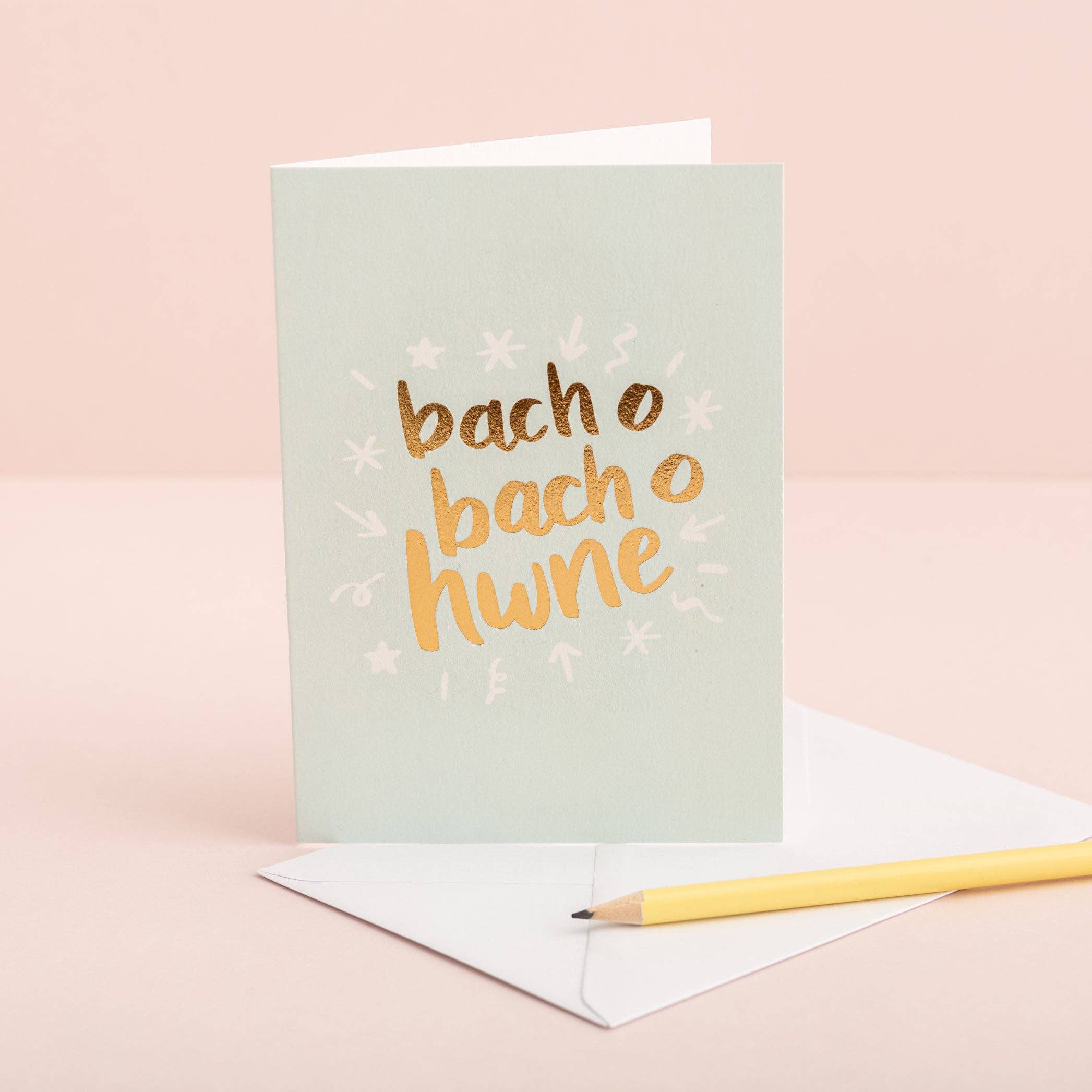 Draenog – wholesale Everyday greeting card – Bach o Hwne Welsh gold foil card1