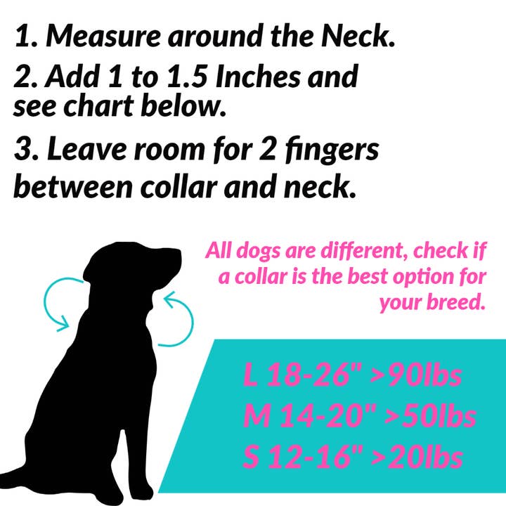 Jojo Modern Pets - Wholesale Pet collar – Dog - Durable Quick Release Adjustable Heavy-Duty Nylon Dog Collar1