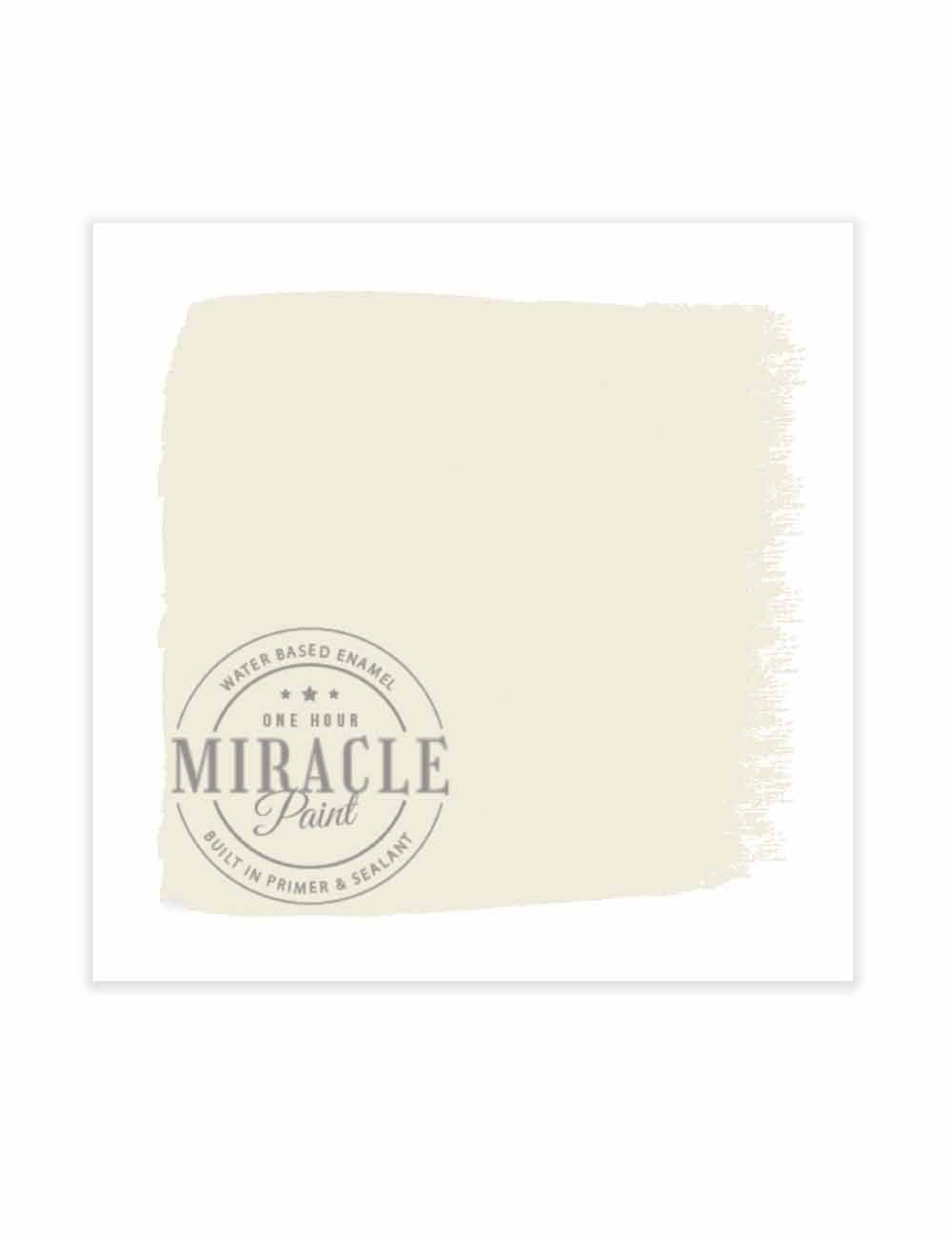 Amy Howard at Home - Wholesale Paint Set - Miracle Paint (32 oz.)12