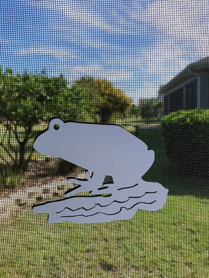 DCentral Frog - Schermo magnetico di sicurezza flessibile, dimensioni 12,7 x 10,2 cm per la vendita all'ingrosso da parte di DCentral Magnetics