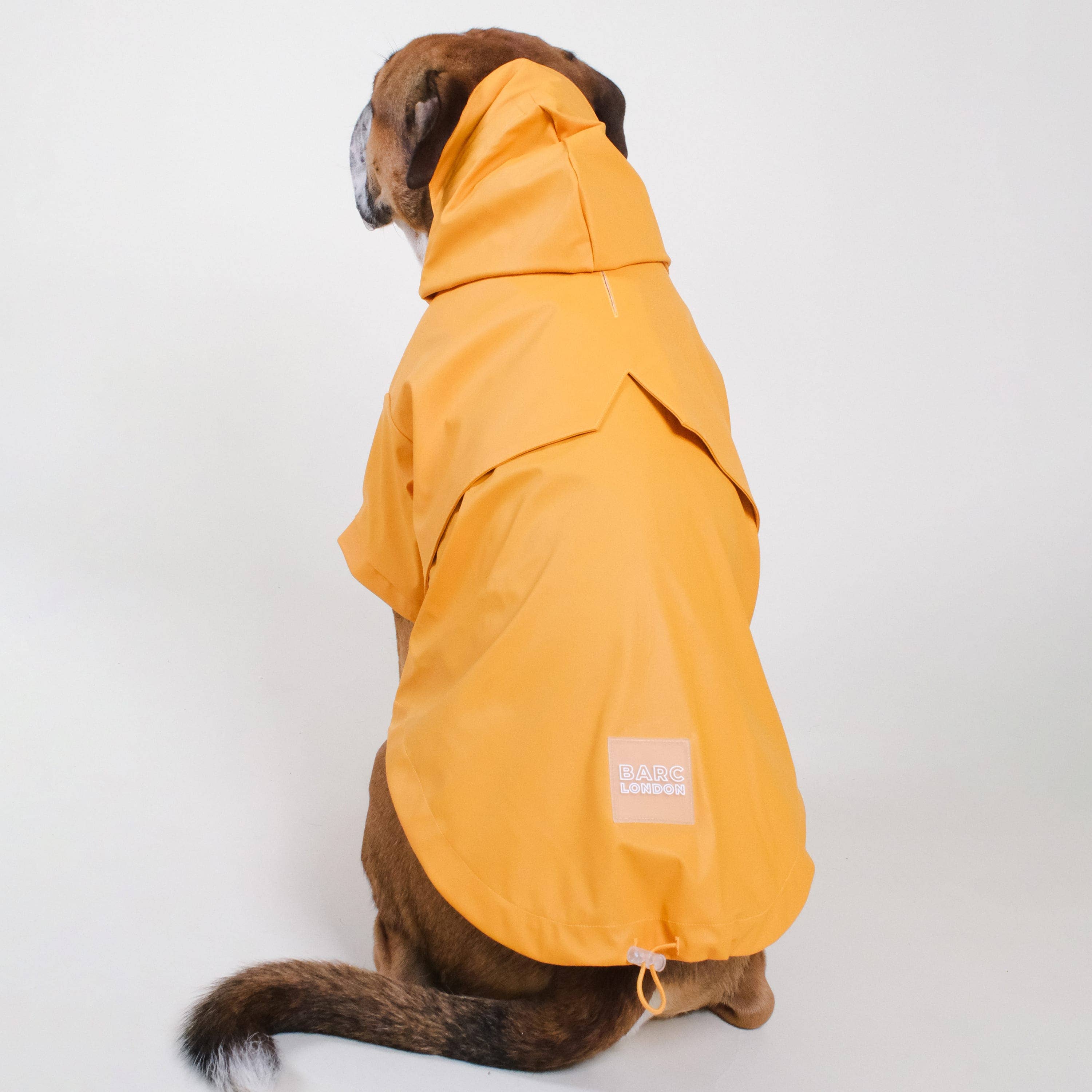 Barc London - Wholesale Pet Raincoat - Dog - Orange Dog Raincoat | Stylish Dog Coat | Waterproof Dog Coat4