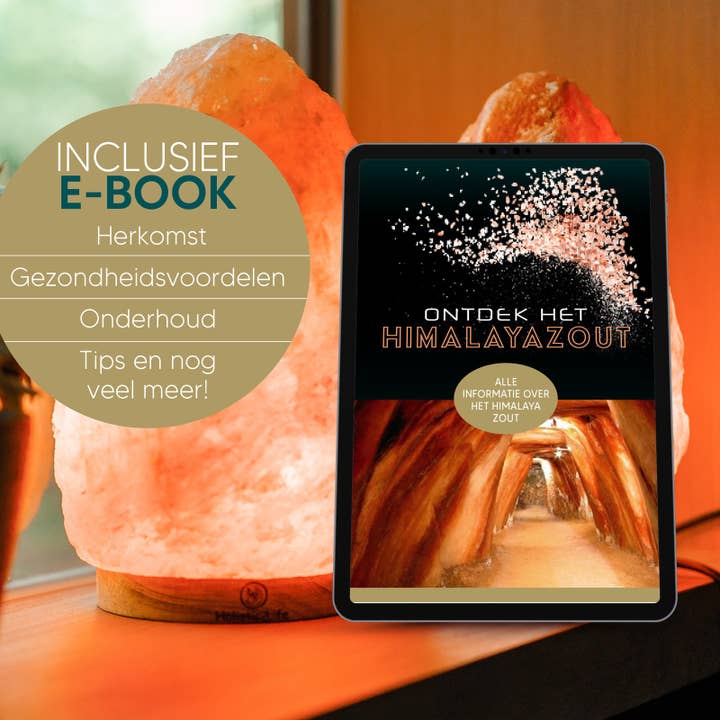 holistic-life - Wholesale Salt Lamp - Dimmable Himalayan salt lamp 2-3kg7