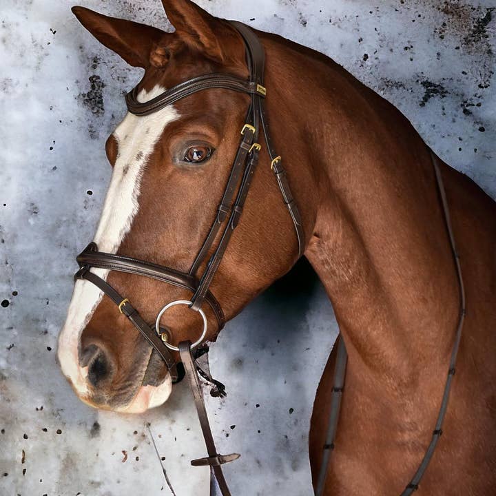 EPONIA EQUESTRIAN LIFESTYLE - Wholesale Horseback Riding Gear - Bridle Eponia - Slimfit jumper/Hunter