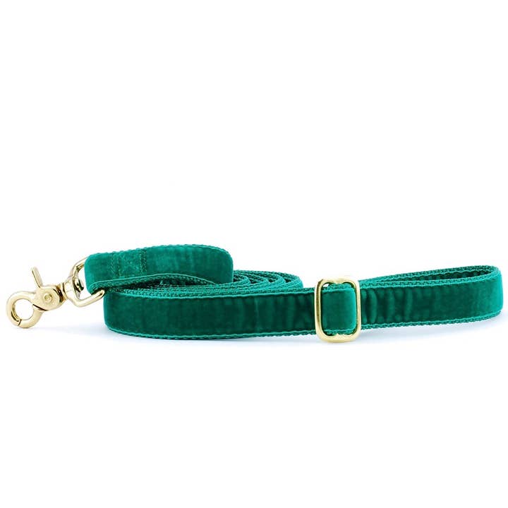 2 Hounds Design - Wholesale Pet Collar - Dog - Kelly Green Velvet Essential Dog Collar