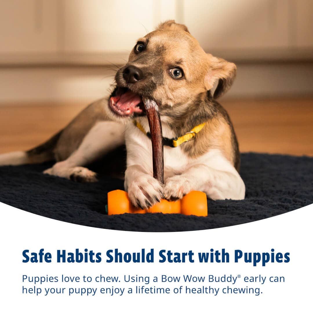 Bow Wow Labs - Wholesale Pet Chew Toy - Dog - Smart Bully Stick Bundle8