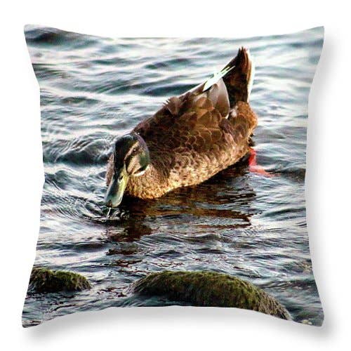 CUSCINO "THE DRINKING DUCK" per la vendita all'ingrosso da parte di sorayadapuzzostore