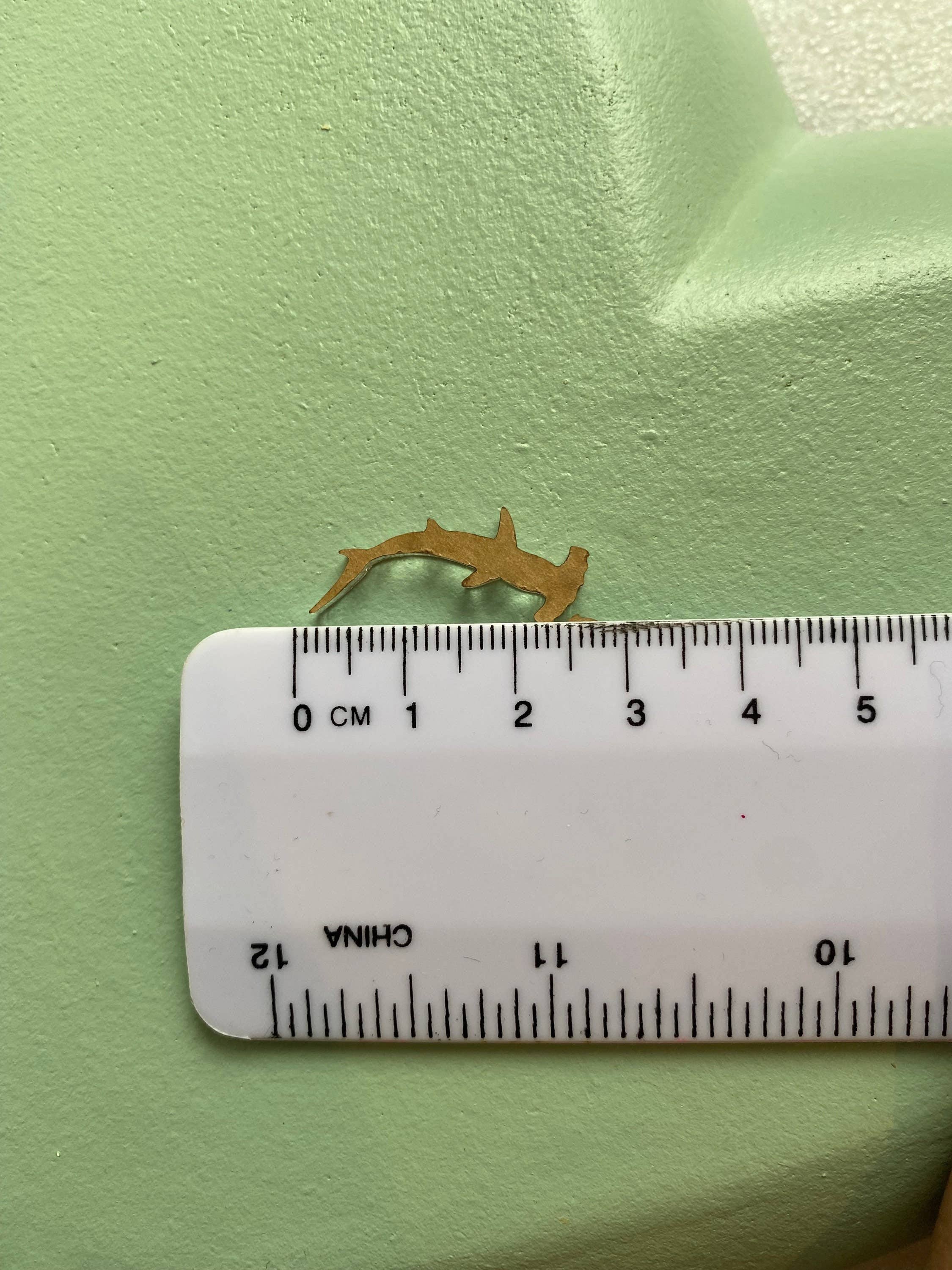 EllaRaeMouldsVinyls – wholesale Craft supplies – Hammerhead Shark, Earring Silicone Mould2