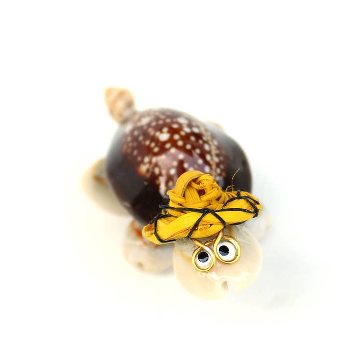 California Seashell Company - Wholesale Decorative Tabletop Object - Souvenir Shell Turtles - 4 Assorted Color Hats6