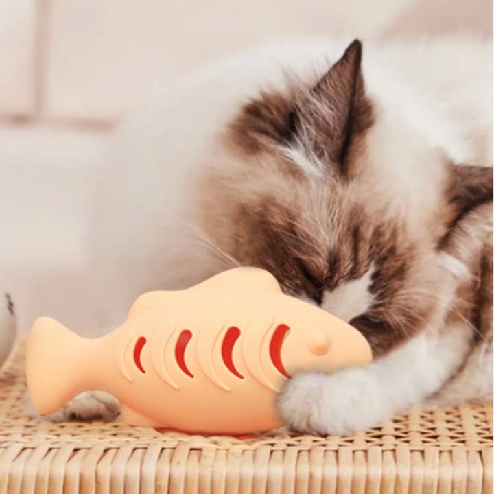 Cheerhunting - Wholesale Pet Toy - Cat - Moo - Dual-Sided Leaky Cat Food Toy - Fish Design