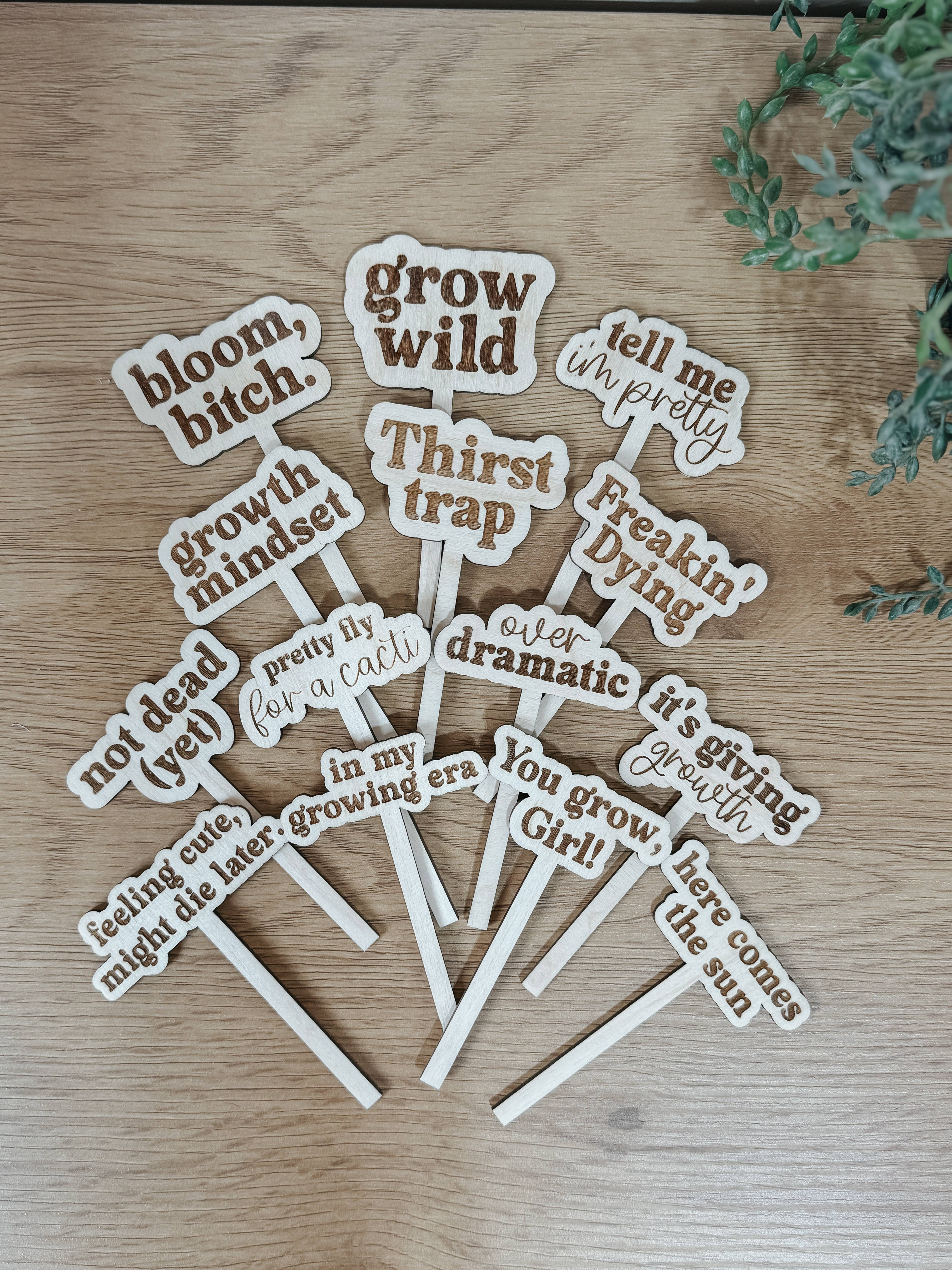 Arrow Town Designs - Wholesale Garden/Lawn Stake - Funny Engraved Plant Stakes – Set of Humorous Garden Markers1