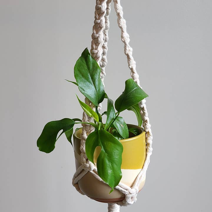 Macramé Mouse - Wholesale Hanging Planter - Small Macramé Plant Hanger - The Alt.