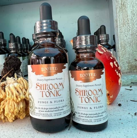 Rooted Apothecary - Wholesale Tincture - Shroom Tonic Mushroom Tincture0