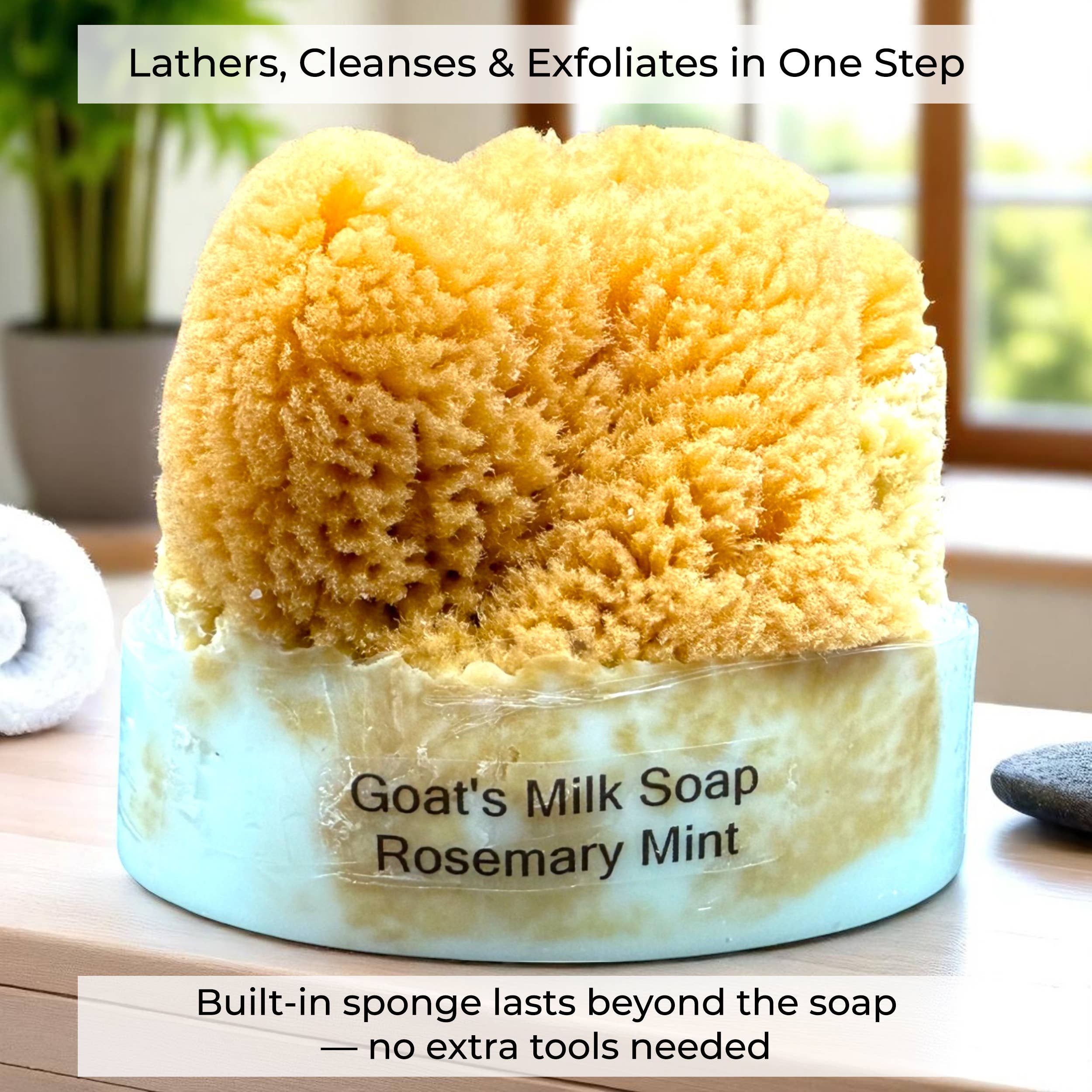 The Grecian Soap Company - Wholesale Bar Soap - Goat Milk Natural Exfoliating Soap Bar with Sea Sponge19