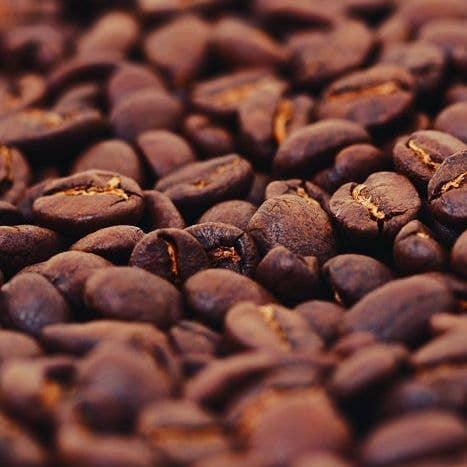 Coffeelink – Grãos de café por atacado – Processo de Mel de Honduras (Microlot)0