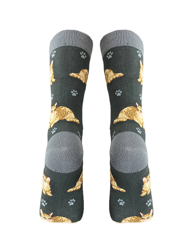 E&S Pets - Wholesale Socks - Unisex - Orange Tabby Cat Socks - Unisex - Fun Novelty Dog Socks3