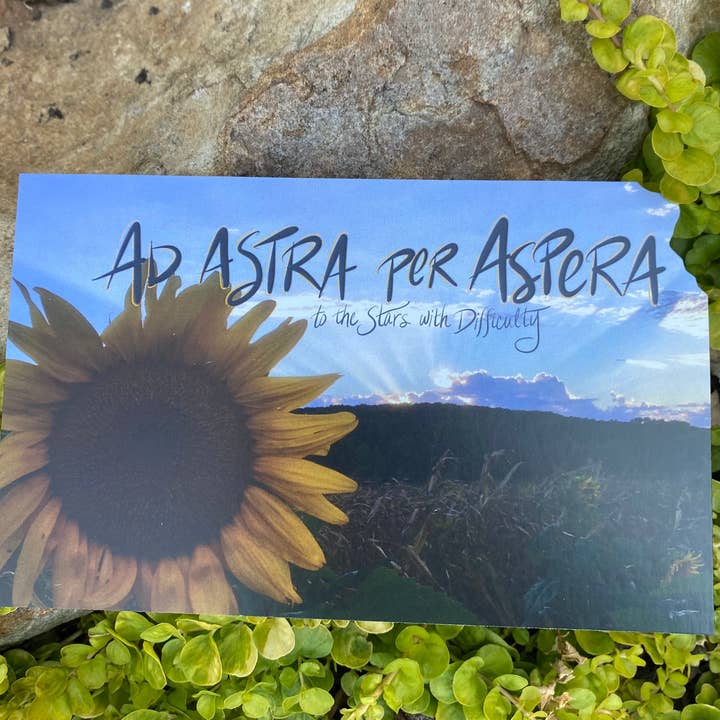 Something Beautiful - Wholesale Postcard - Ad Astra per Aspera Kansas Postcard3