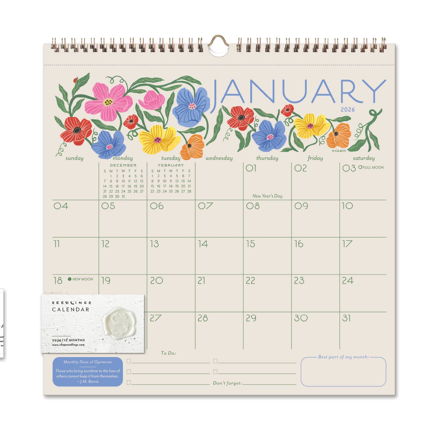 Seedlings - Wholesale Calendar - 2026 Seedlings Garden Party 12 Month Classic Grid Calendar0