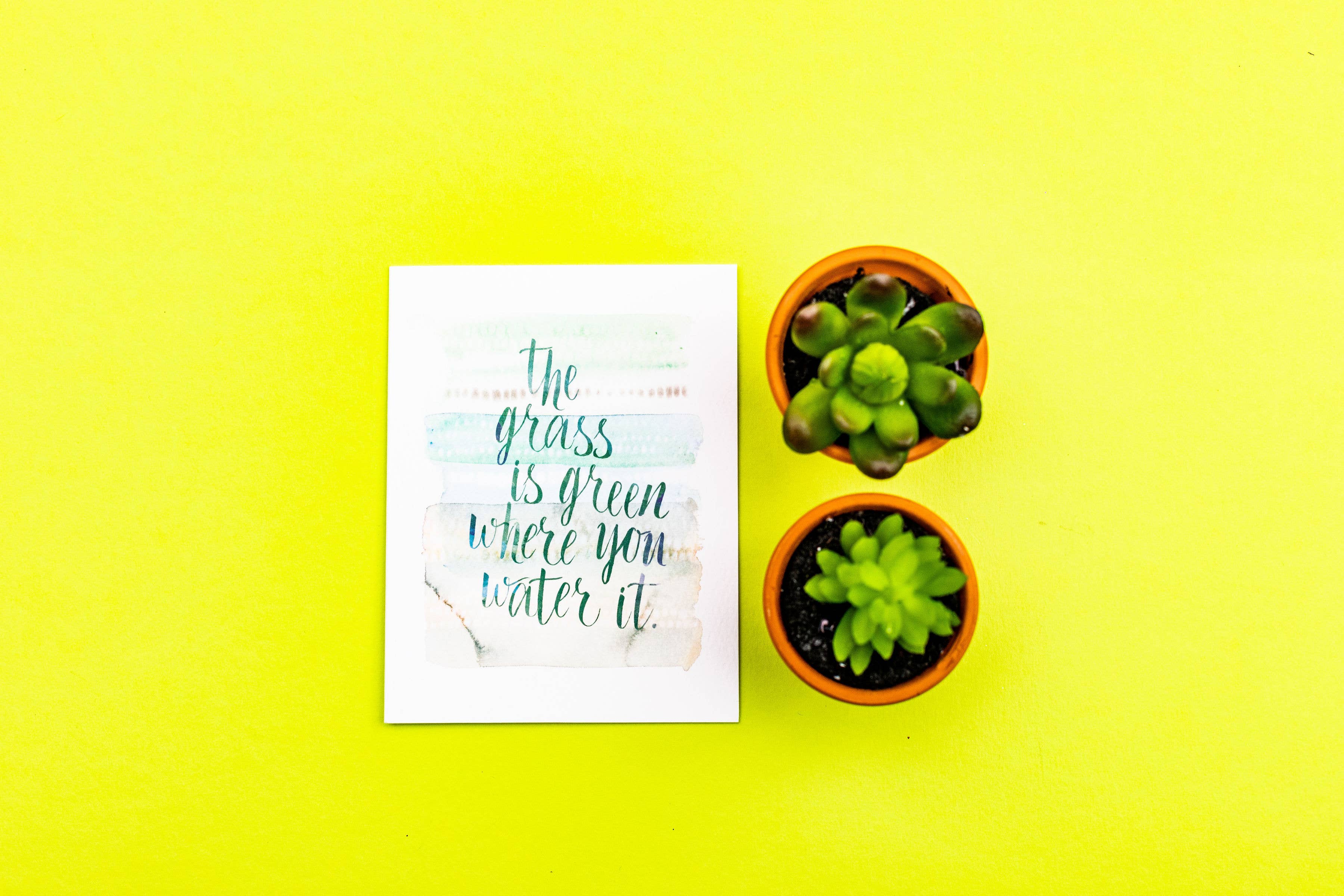 From Me To You - Wholesale Friendship Card - Grass is Green Friendship Card Design: Nikki Chu1