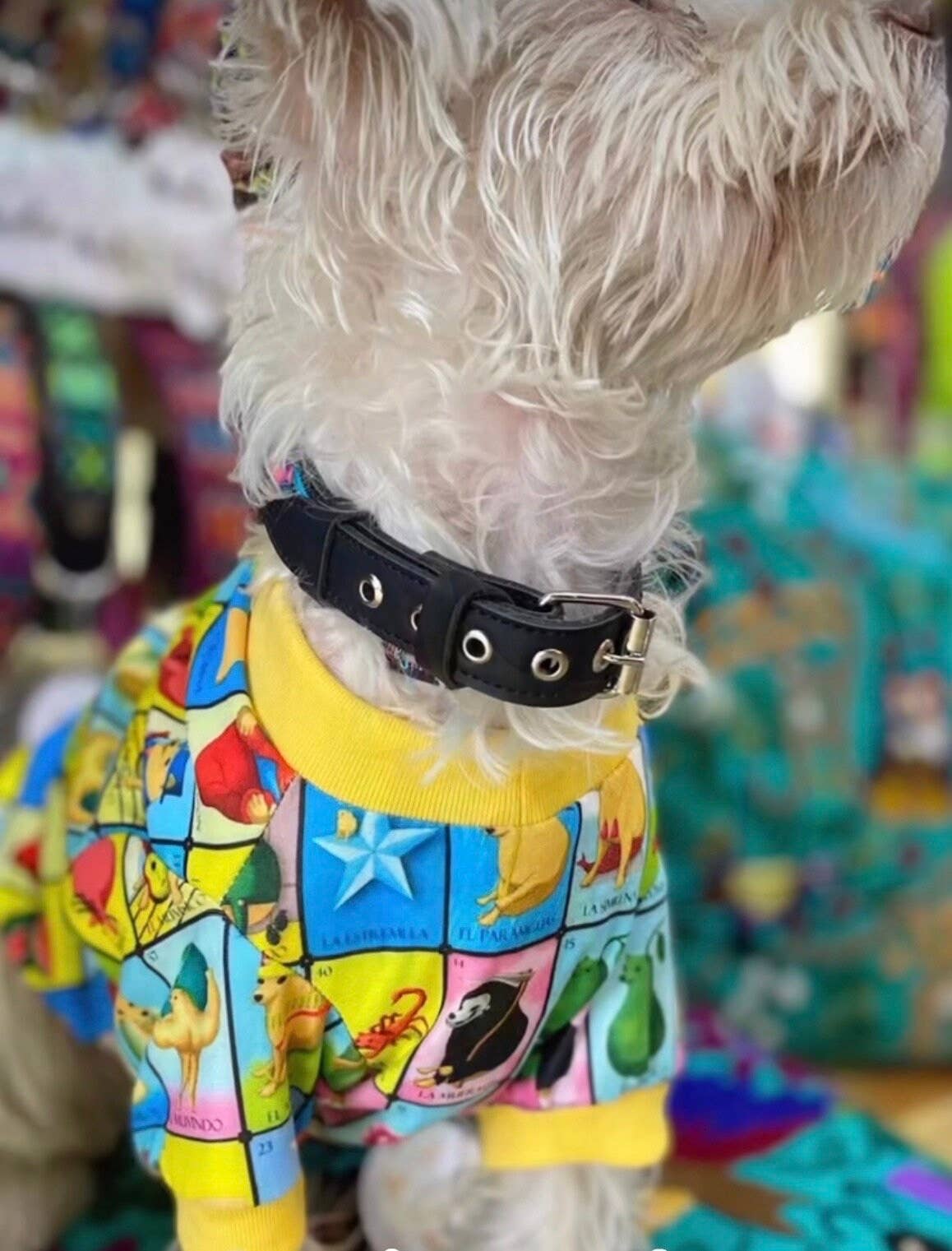 Gueyita Mexicana - Wholesale Pet Dress - Dog - Mexican Dog Tees/ Loteria Mexicana Dog Tee2