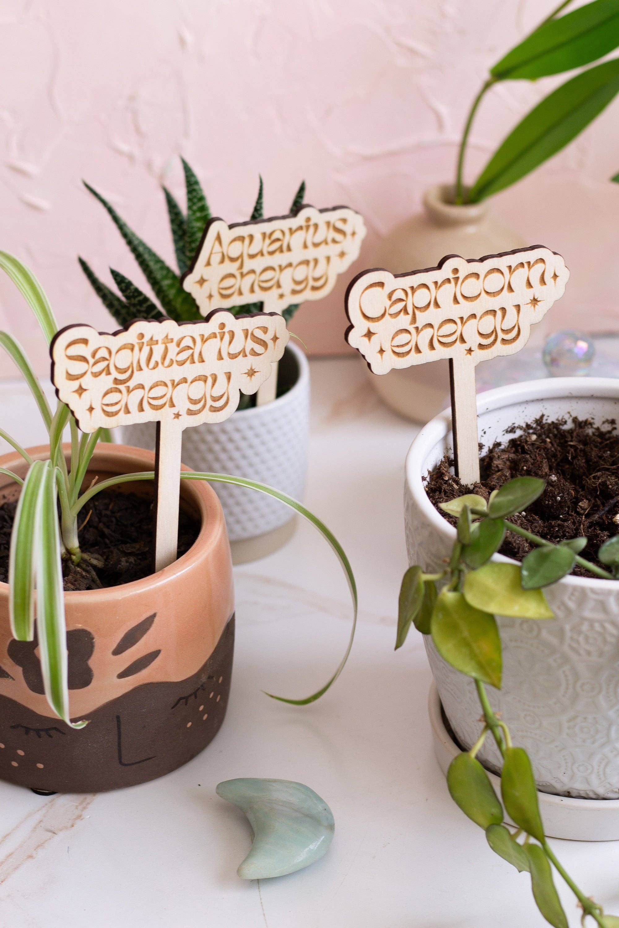 The Print Pantry - Wholesale Garden/Lawn Stake - Astrological Sign Wooden Plant Markers2
