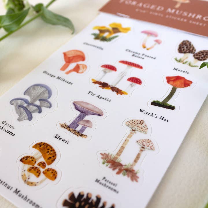 May We Fly - Wholesale Sticker - 4'' x 6'' Foraged Mushroom Sticker Sheet1