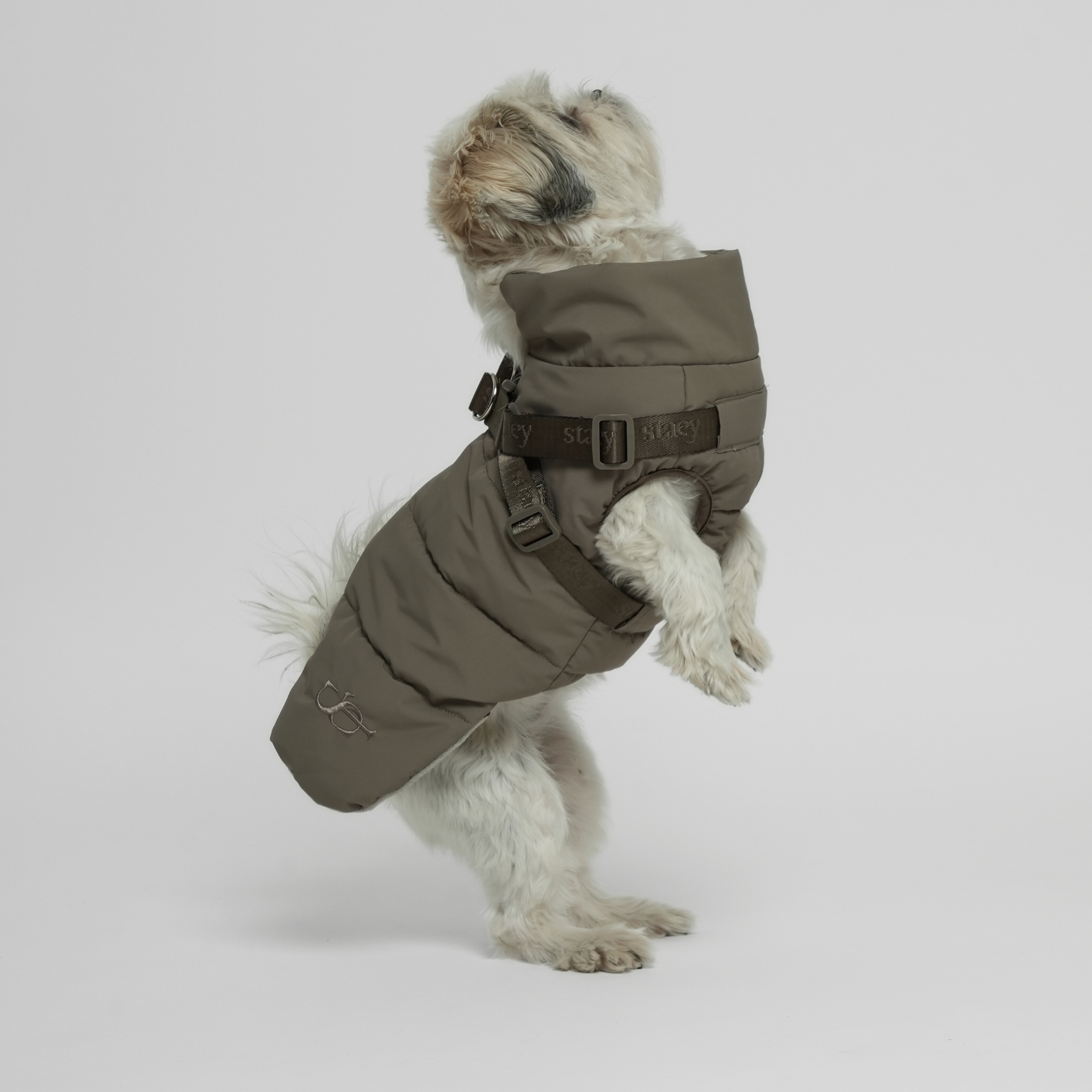 Staey - Wholesale Pet Coat - Dog - Vera Dog Coat with Harness | Sage17
