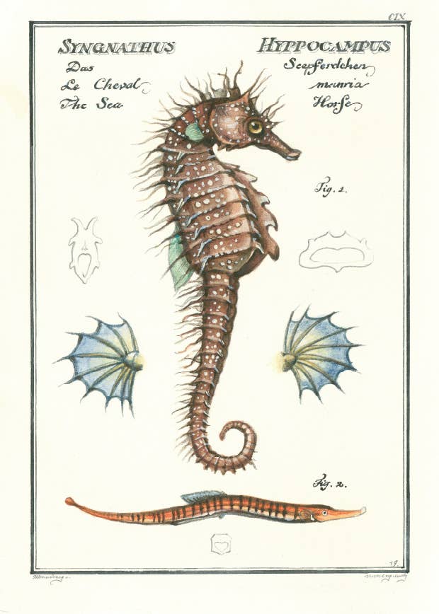 Bomo Art Budapest - Wholesale Everyday Greeting Card - Greeting Card + Envelope4