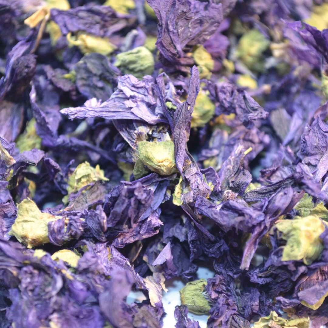 Drink Botanicals Ireland - Wholesale Dried/dehydrated vegetables - Dried Blue Pea Mallow Flower5