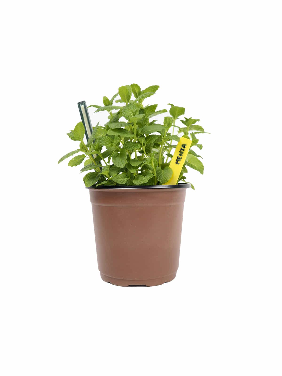 JARDIN Y NATURA OUTDOOR & GARDEN PRODUCTS SL - Wholesale Plant Pot - Grow pots Ø9cm (8u) - GROWPOT S1