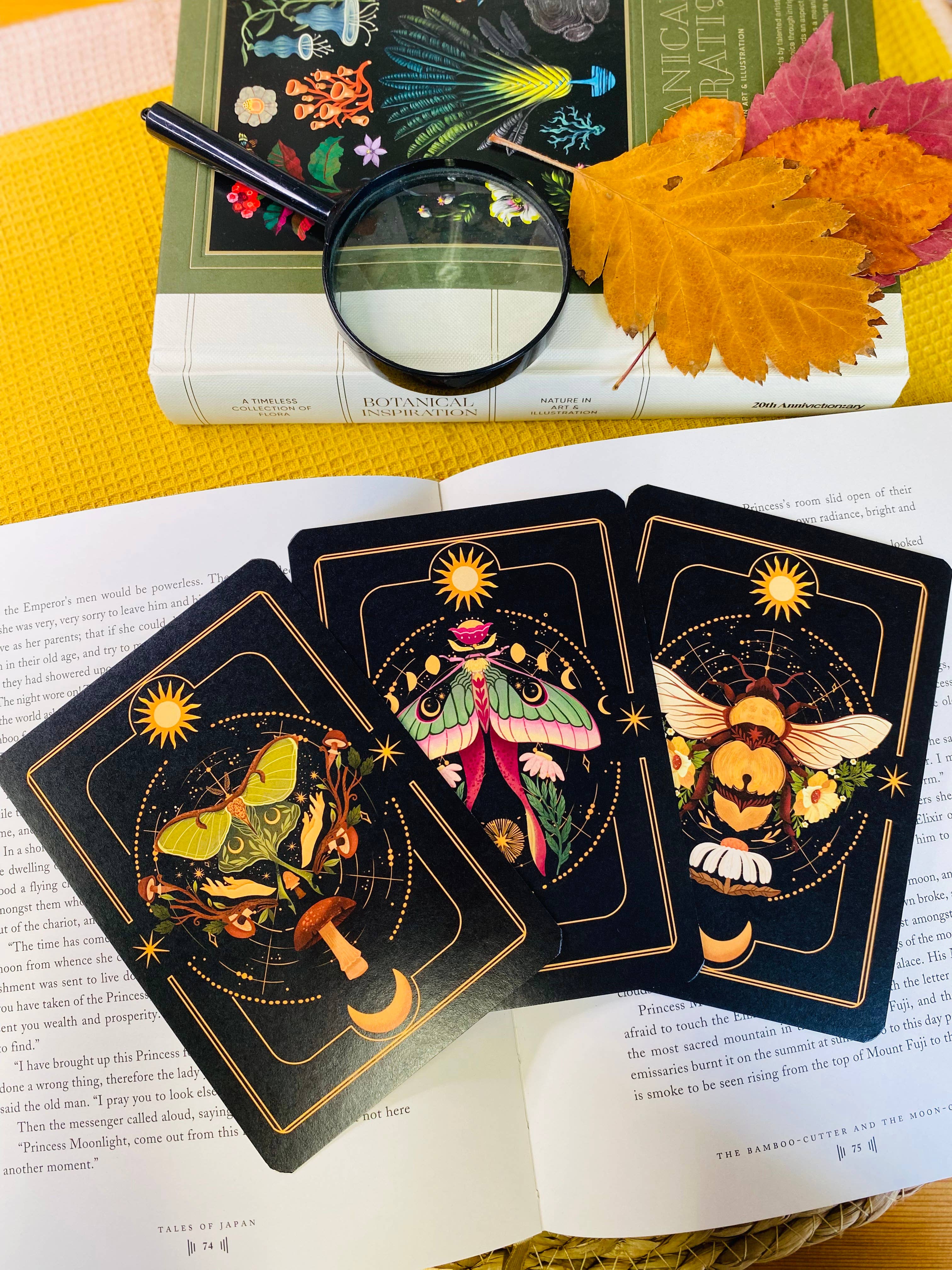 Split Moon Studios - Wholesale Art Print - A Set of Insect Art Prints - A6 Post Card Size - Artprint22